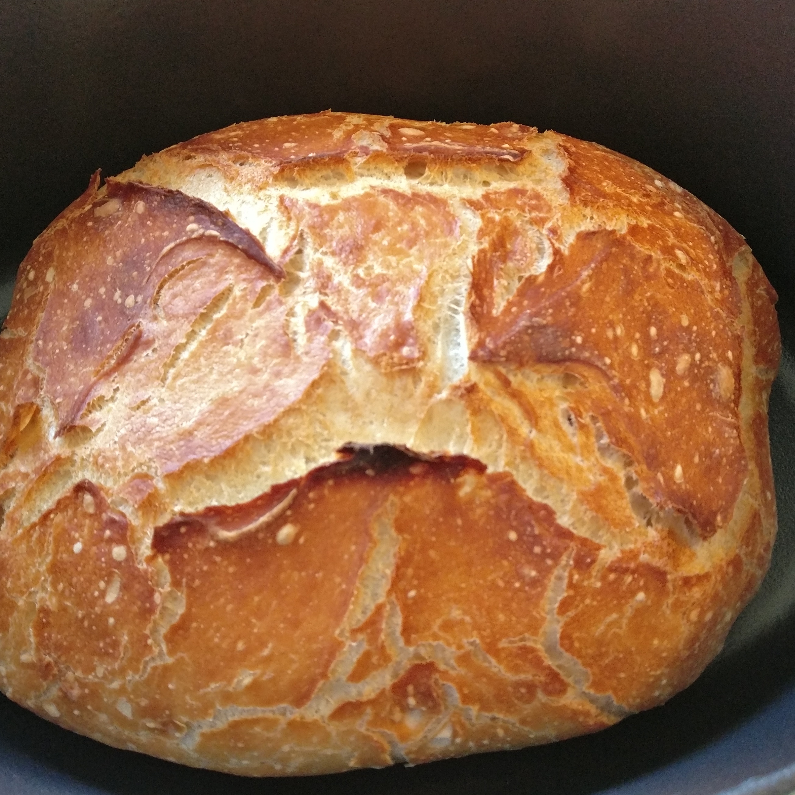 Top für Brot