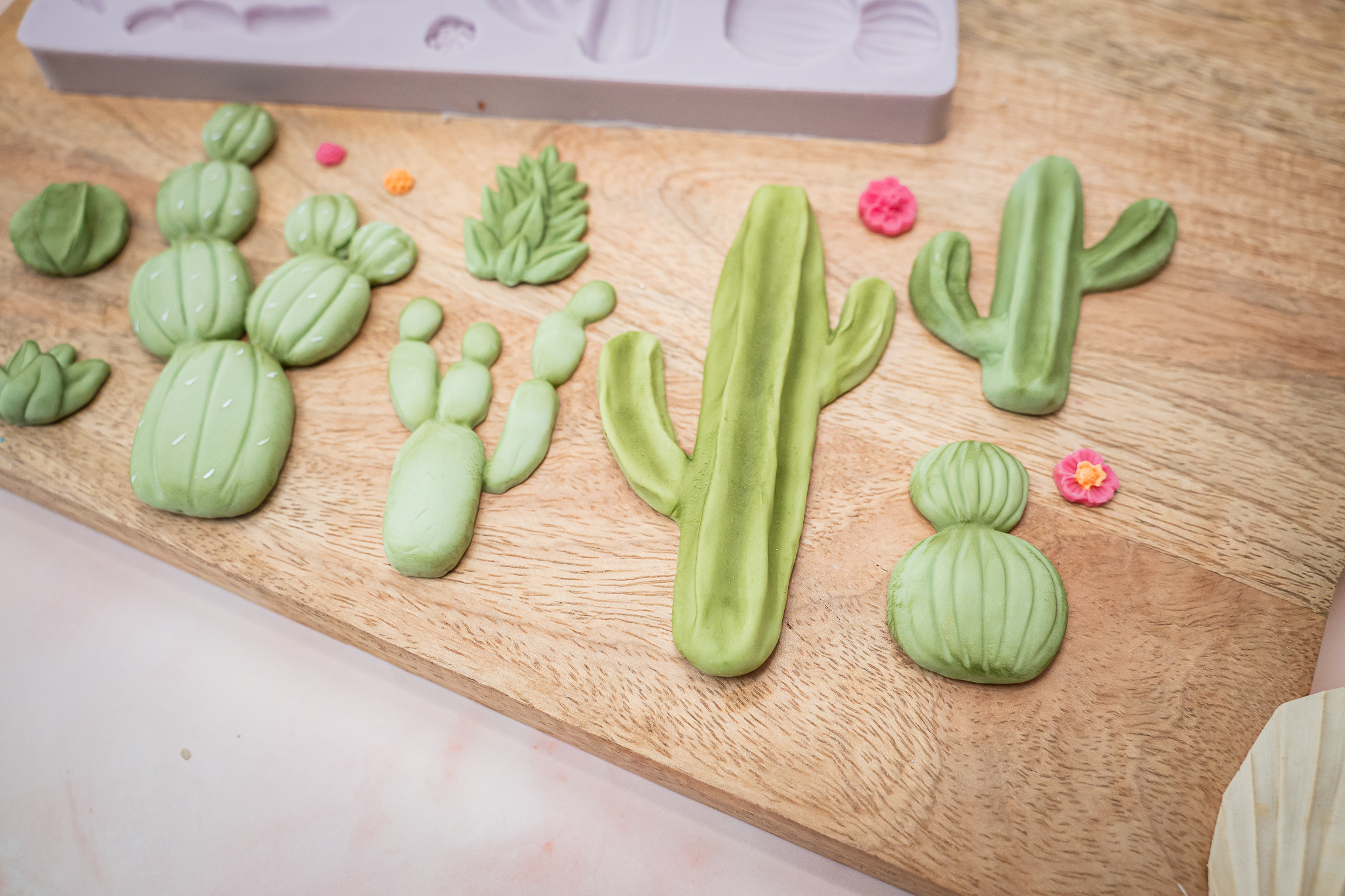 karen-davies-cactus-garden-silikonform-kakteen-mix image 2