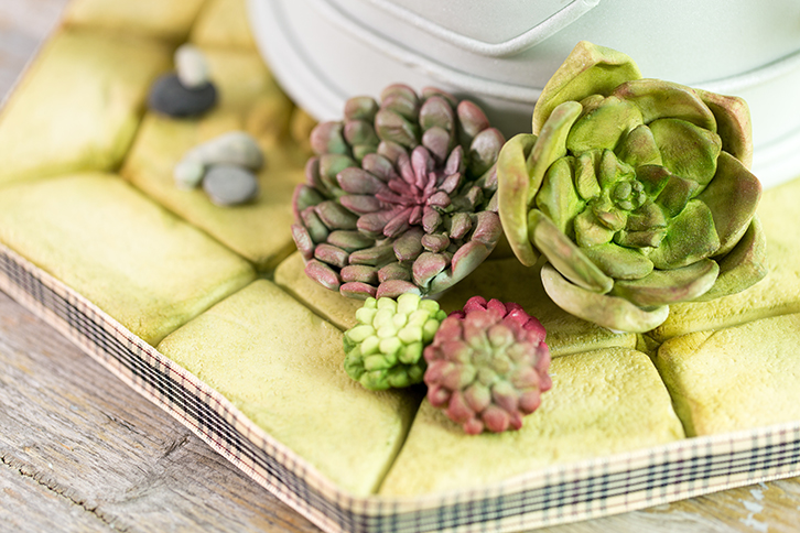 karen-davies-succulent-silikonform-sukkulenten-tortendeko-form image 7