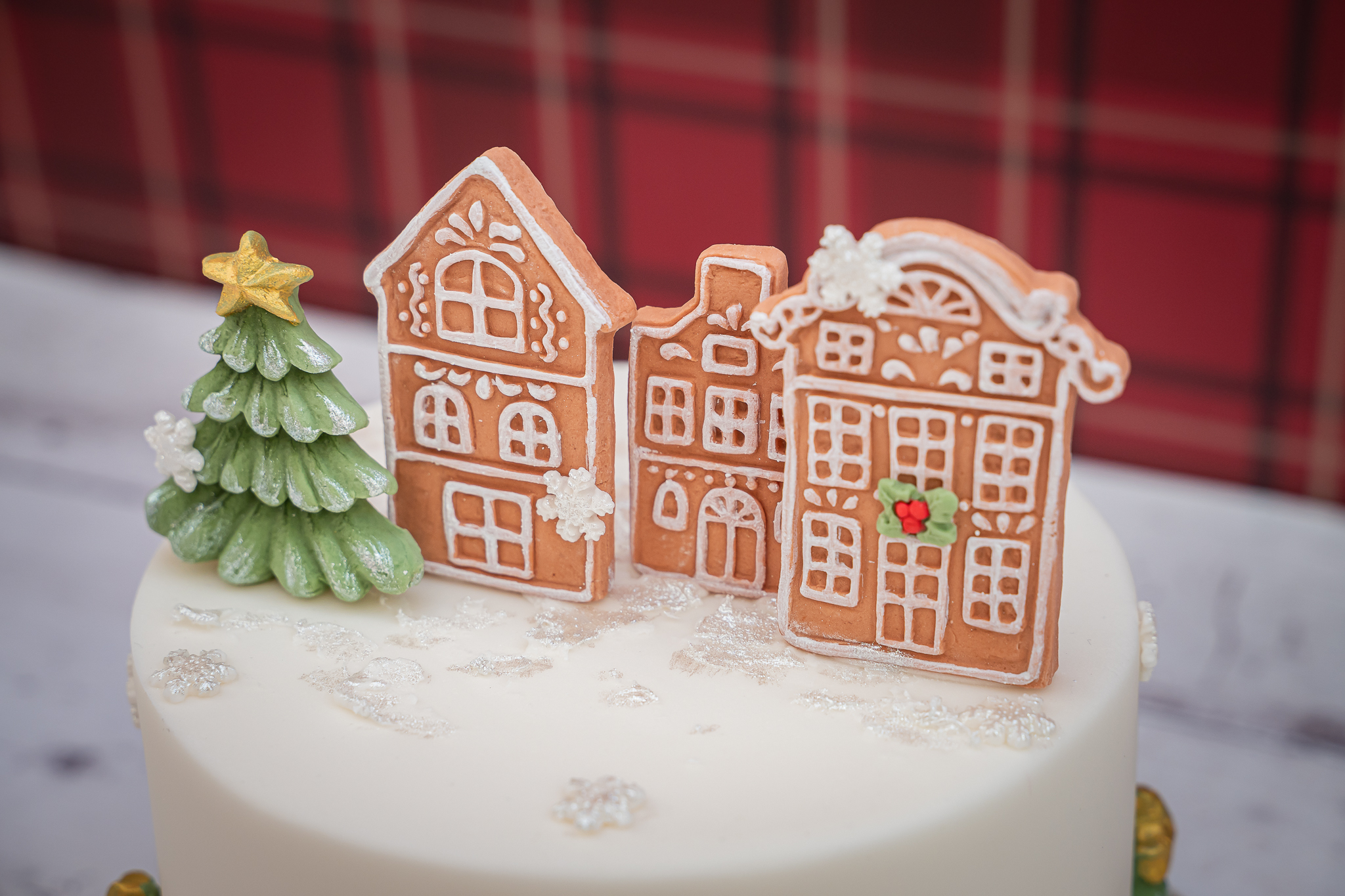 karen-davies-gingerbread-houses-h-uschen-silikonform image 8