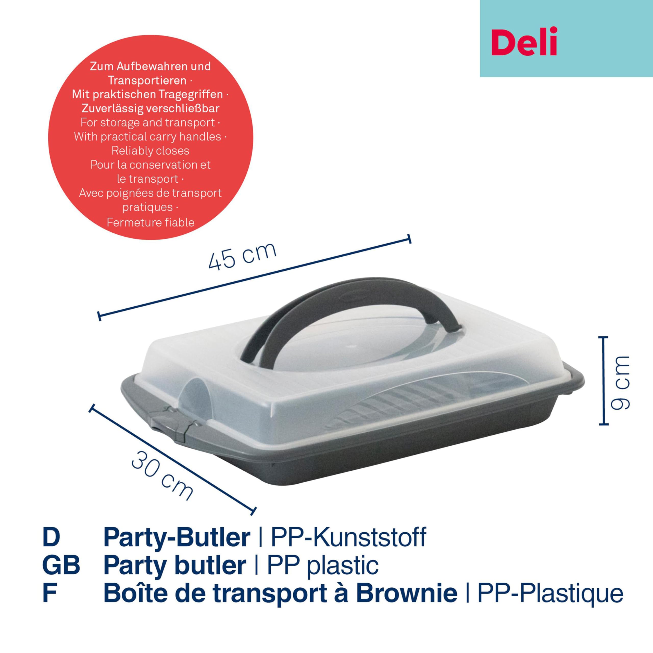 kela-kuchentransportbox-deli-rechteckig-45-x-30-x-9-cm-snackbox-dunkelgrau image 2