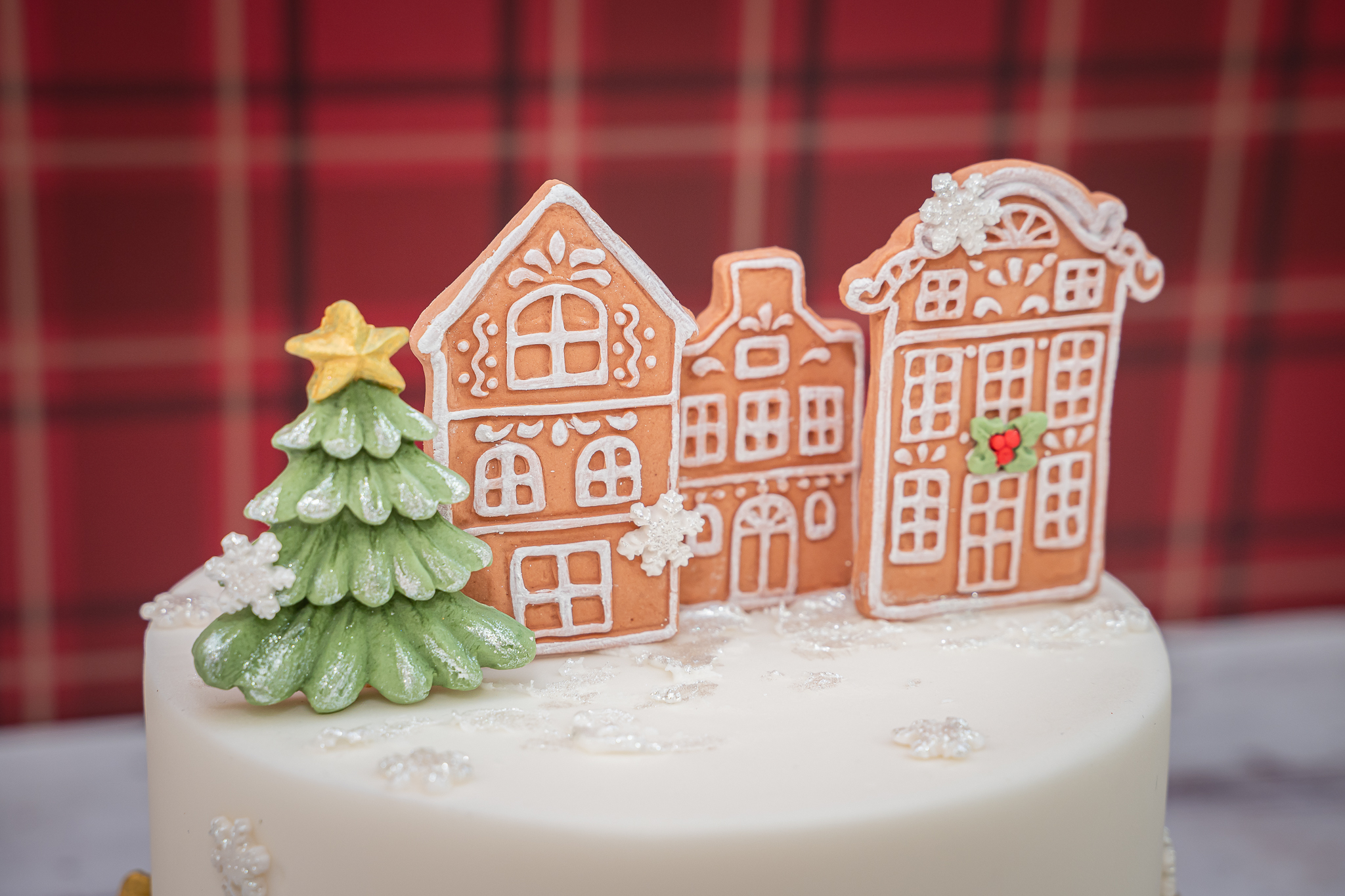 karen-davies-gingerbread-houses-h-uschen-silikonform image 2