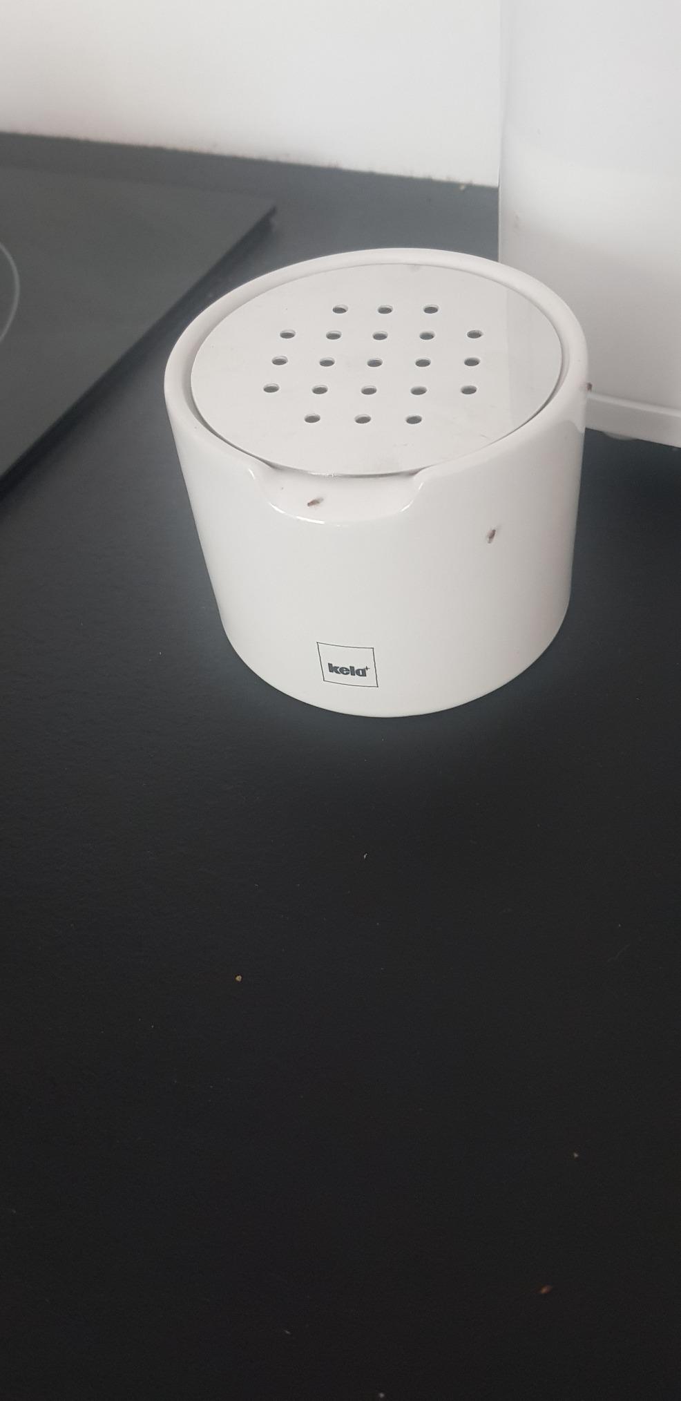 Kaufempfehlung für Sommer