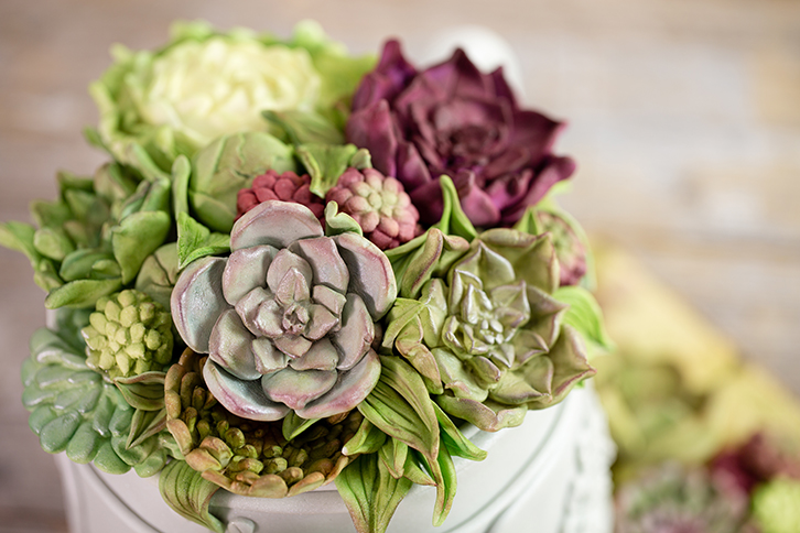 karen-davies-succulent-silikonform-sukkulenten-tortendeko-form image 6