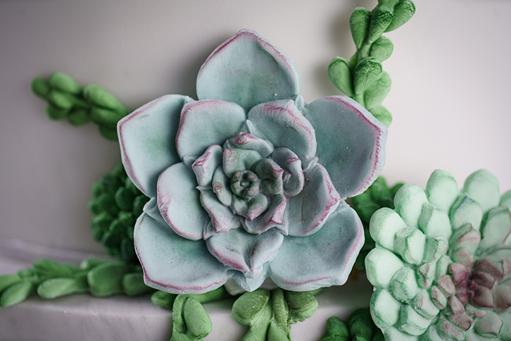 karen-davies-succulent-silikonform-sukkulenten-tortendeko-form image 8