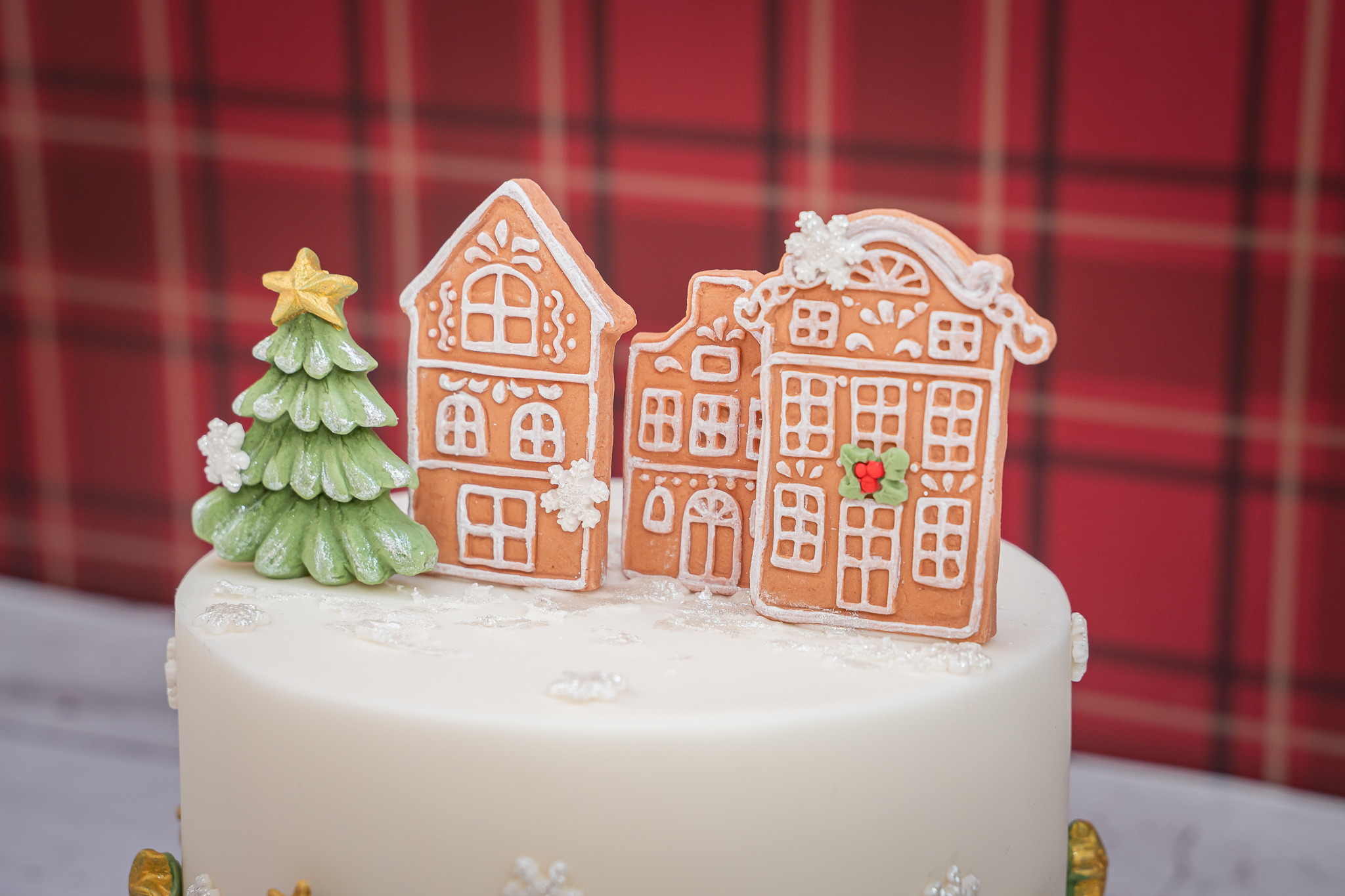 karen-davies-gingerbread-houses-h-uschen-silikonform image 4