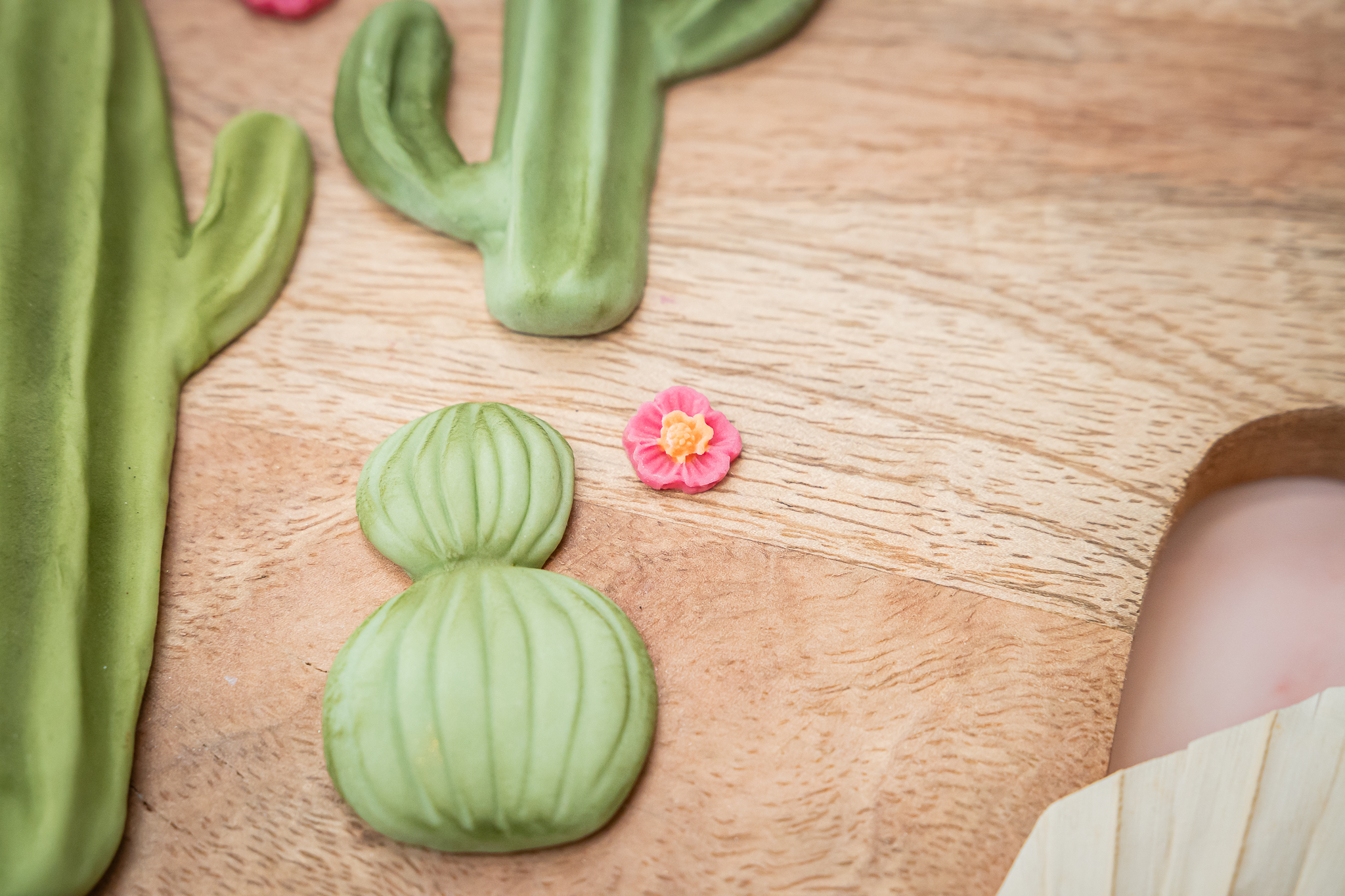 karen-davies-cactus-garden-silikonform-kakteen-mix image 8