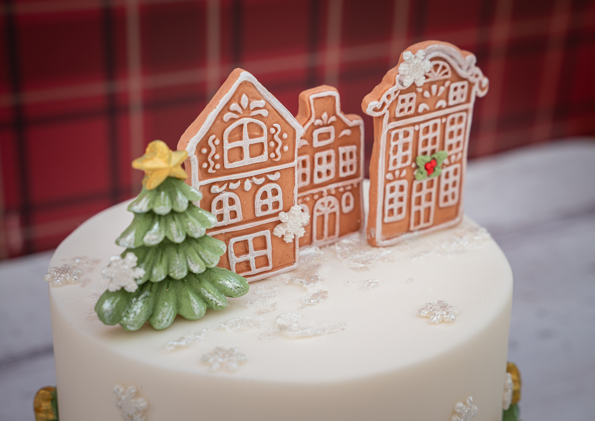karen-davies-gingerbread-houses-h-uschen-silikonform image 7